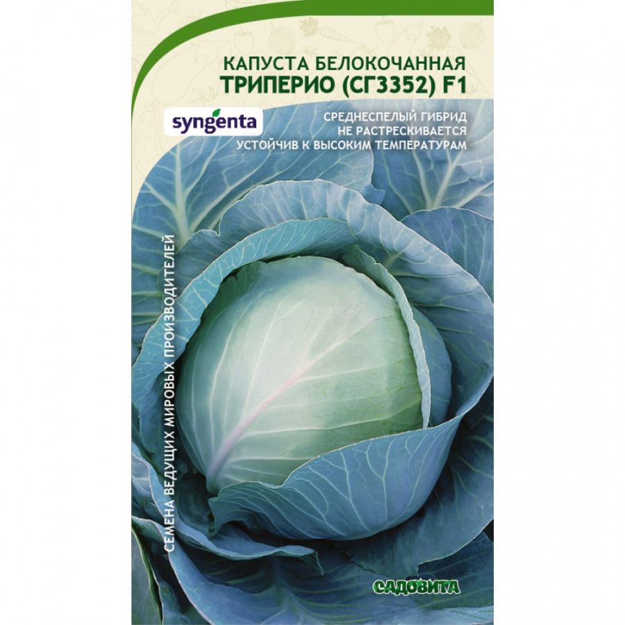 Белокочанная капуста капуста Садовита Триперио СГ3352 F1