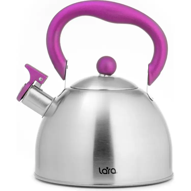Чайник Lara LR00-62