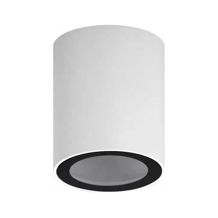 Настенно-потолочный светильник ЭРА Б0059799