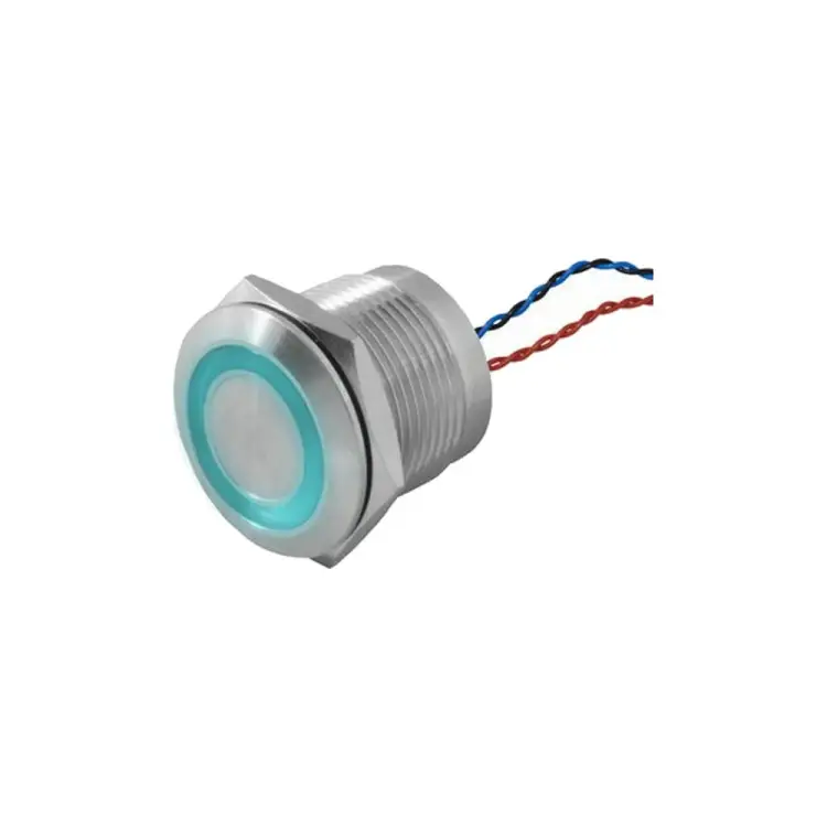 Кнопка пьезо RUICHI RPS19ZE/B on-off 114250