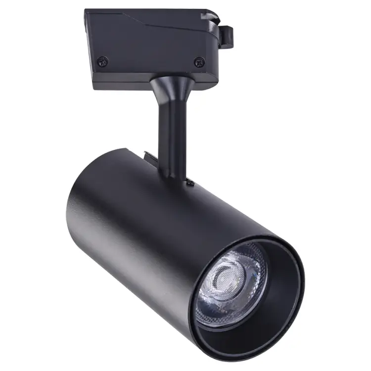 Потолочный светильник ARTE LAMP A2665PL-1BK