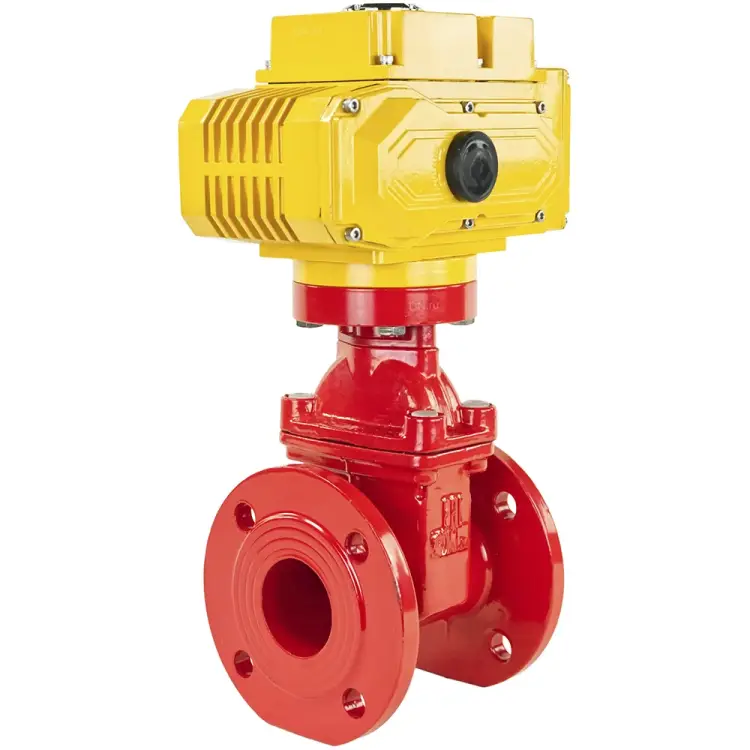 Клиновая задвижка DN.ru 30ч939р -065-16-GGG50-EPDM-F4-RED D040-00721