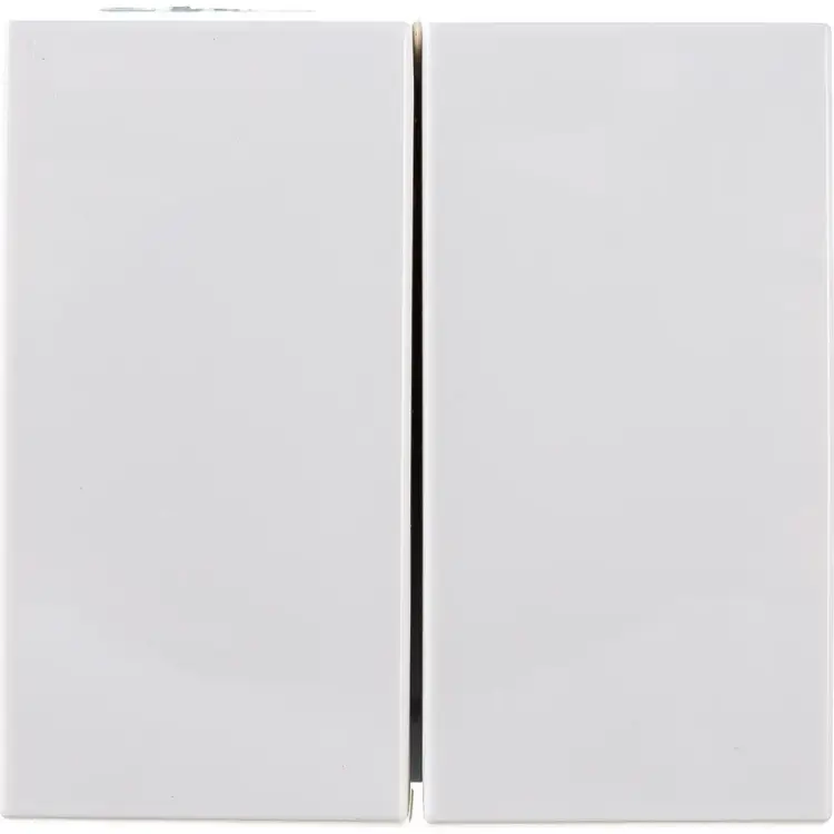 Двухклавишный выключатель IEK ПРАЙМЕР ВК1-22-00-П