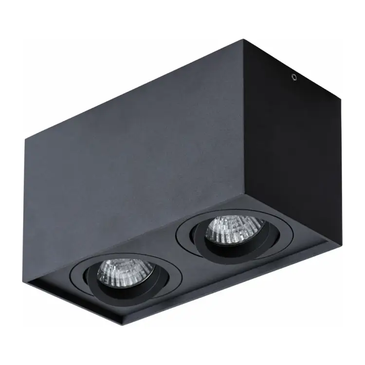 Потолочный светильник ARTE LAMP FACTOR A5544PL-2BK