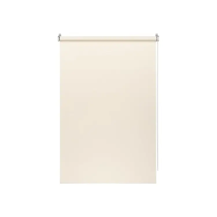 Рулонная штора PRAKTO Blackout Color 8310841