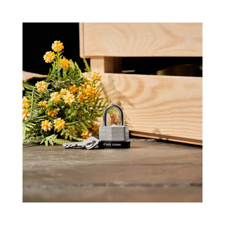 Навесной замок Четыре сезона ССН-30 79-0133