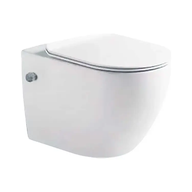 Подвесной унитаз Santi Line SL-5002SM-BD