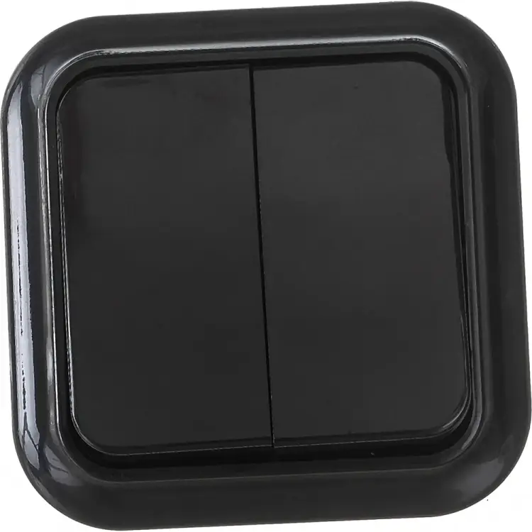 Двухклавишный выключатель BYLECTRICA ПРАЛЕСКА А56-134 черный