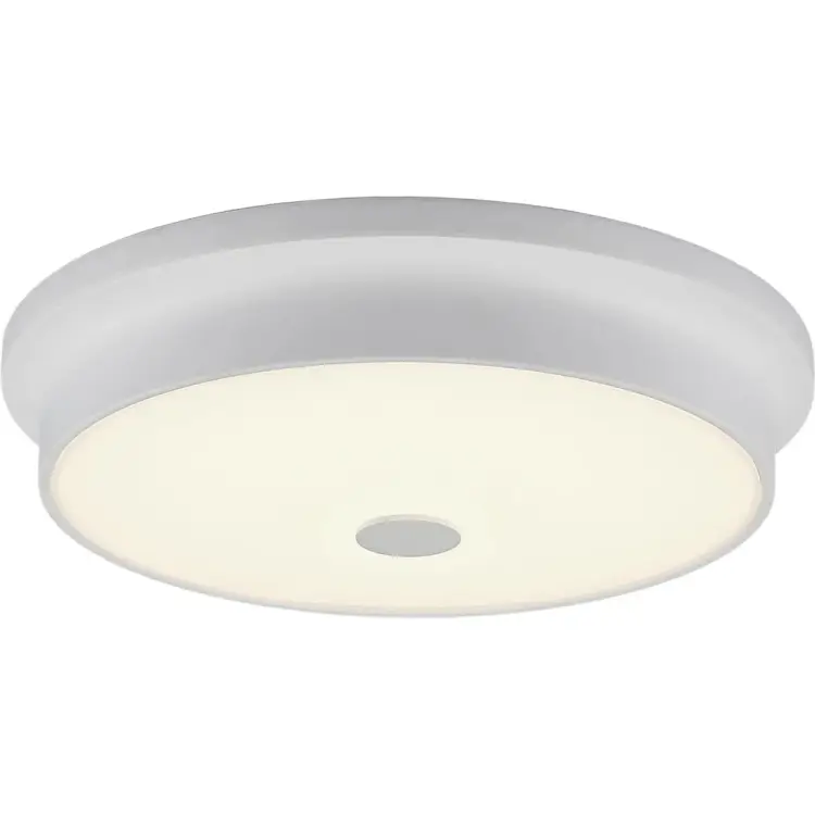 Настенно-потолочный светильник Citilux Фостер-2 CL706230