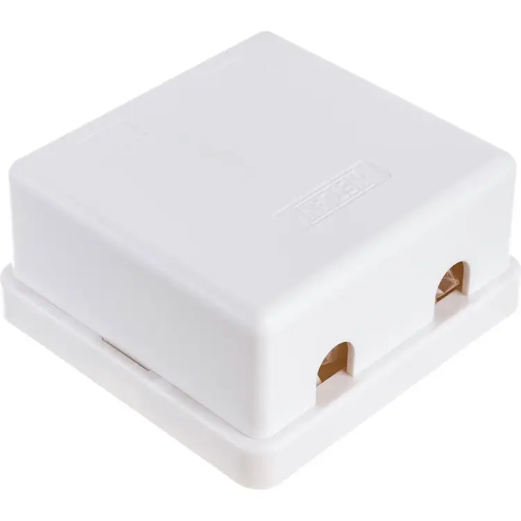 Настенная розетка NETLAN EC-UWO-2-UD2-WT-10