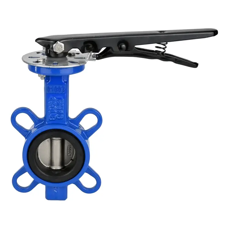 Дисковый поворотный затвор DN.ru wcb-316l-viton ду250 ру16 D050-06603