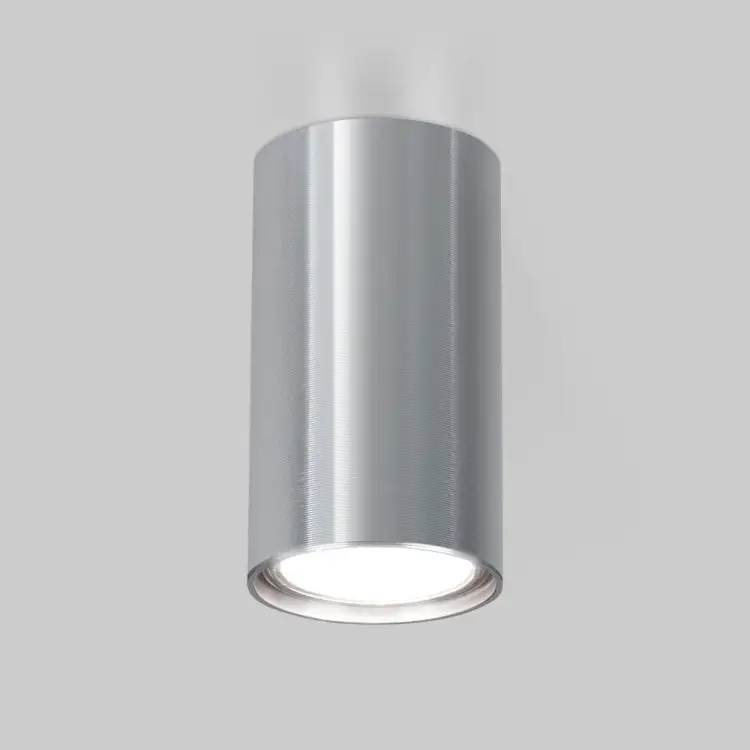 Накладной светильник Elektrostandard 1081 a038491