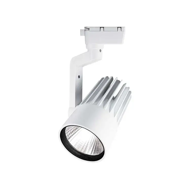 Прожектор Jazzway PTR 0130-2 5022737