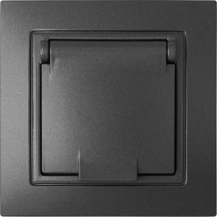 Одноместная розетка BYLECTRICA УЮТ РС16-356 графит