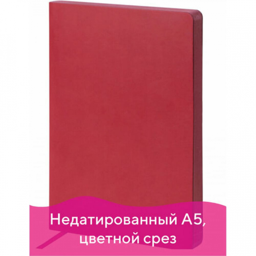 Недатированный ежедневник Galant Bastian