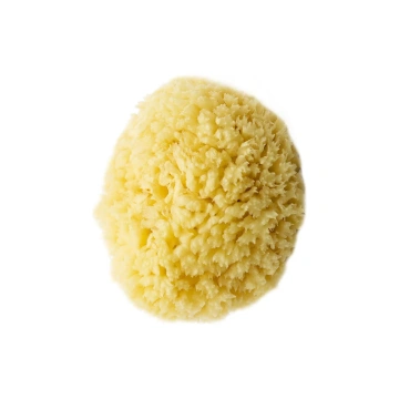 Губки малярные