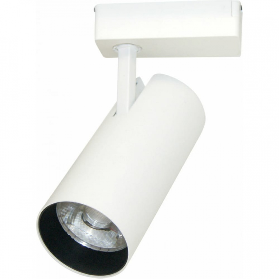 Потолочный светильник ARTE LAMP A2665PL-1WH