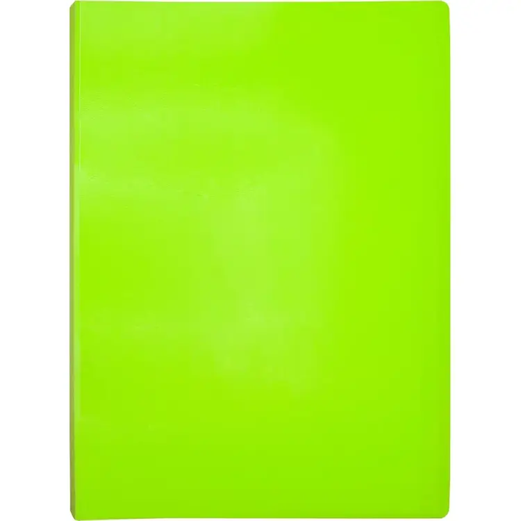 Папка Бюрократ Double Neon DNE07V30LETT 1131764