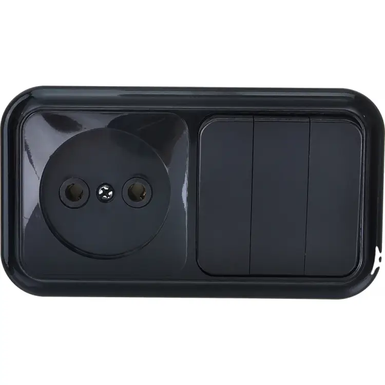 Блок BYLECTRICA ПРАЛЕСКА 3В-РЦ-525 черный