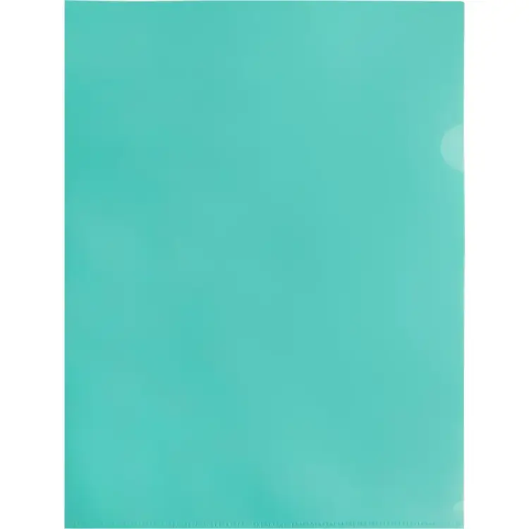 Папка-уголок Бюрократ Pastel -EPAST/GRN 1481096 Папка-уголок Бюрократ Pastel -EPAST/GRN 1481096