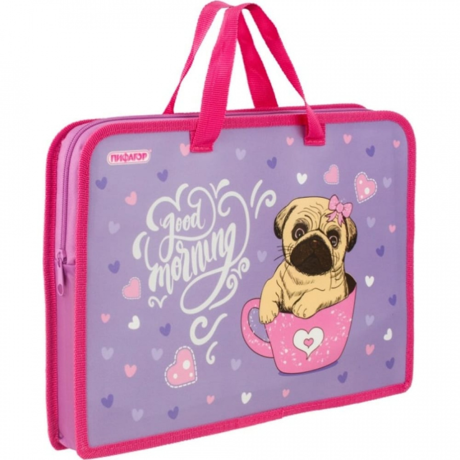 Папка Пифагор Pug