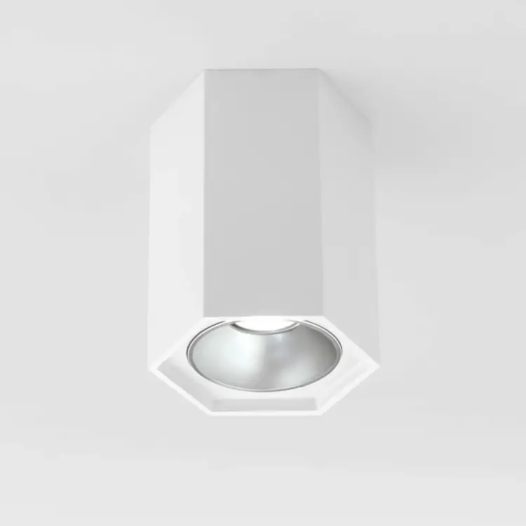 Накладной светильник Elektrostandard 25036 a055856