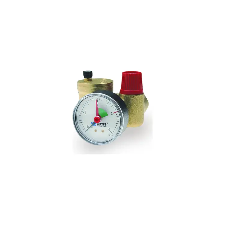Группа безопасности Watts KSG30 10005232