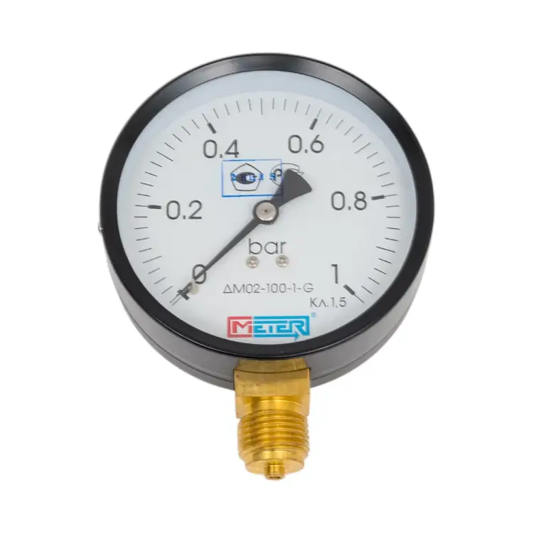 Манометр МЕТЕР ДМ 02-100-1-G 689