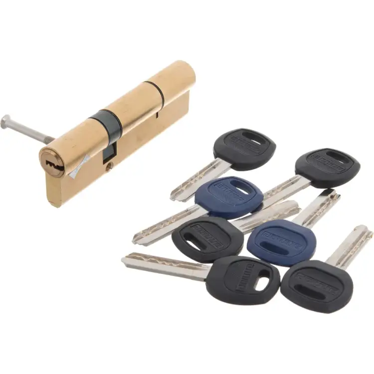 Перекодируемый цилиндровый механизм Аллюр DL-01 100 7352