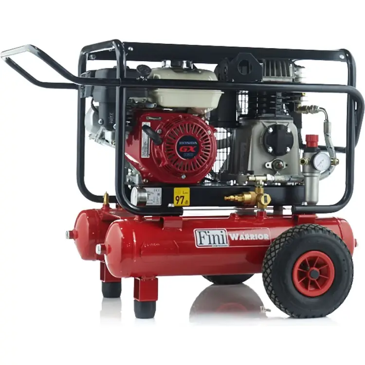Компрессор Fini Warrior 113-5.5S 100344234
