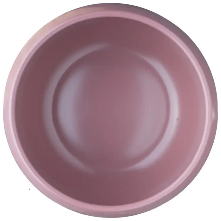 Салатник BILLIBARRI Less Matt Purple 806227464016 Салатник BILLIBARRI Less Matt Purple 806227464016