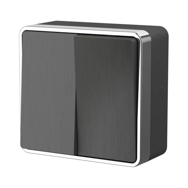 Двухклавишный выключатель WERKEL W5020004  a051337