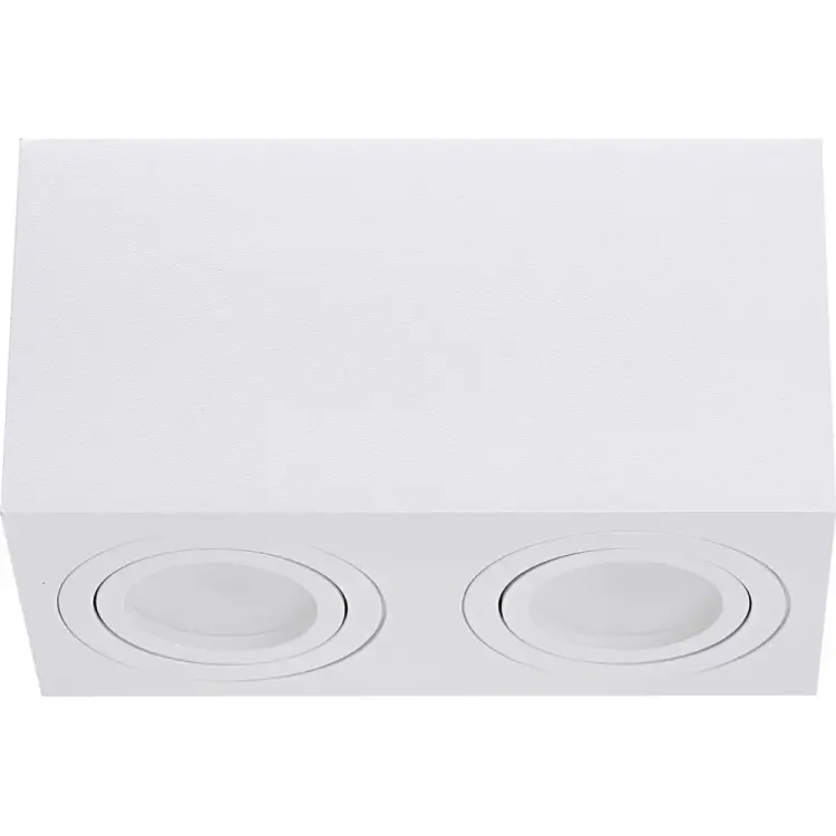 Накладной двойной поворотный светильник truEnergy 21342