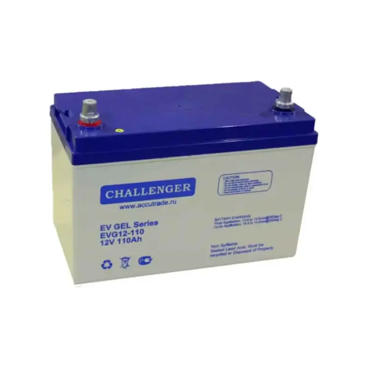 Аккумуляторная батарея CHALLENGER EVG12-110