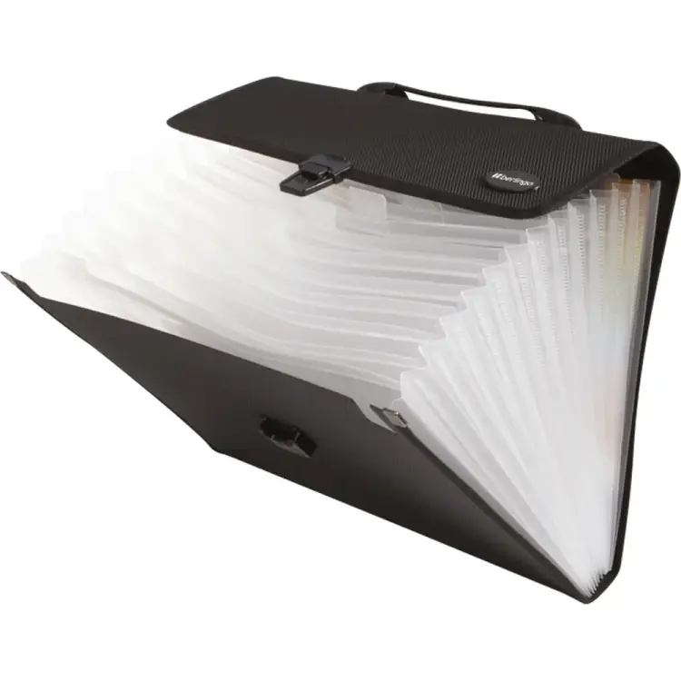 Папка-портфель Berlingo Standard MF2305