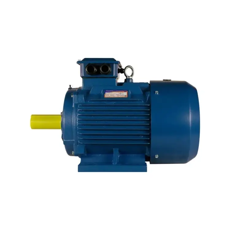 Электродвигатель 5АИ 355 MLA8 200/750 IM 1001 01.01.221561