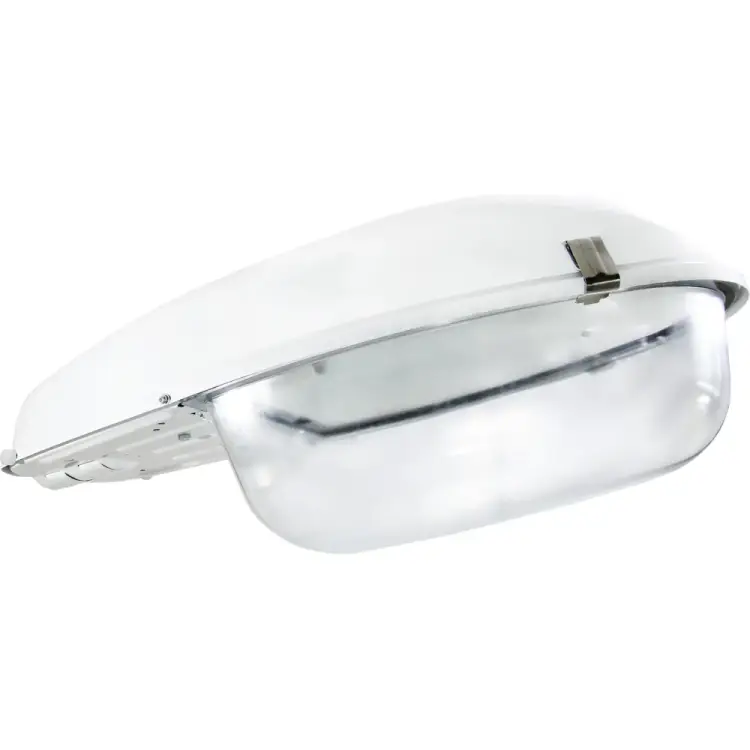 Дорожный светильник TDM ELECTRIC ЖКУ 06-250-002 SQ0318-0020