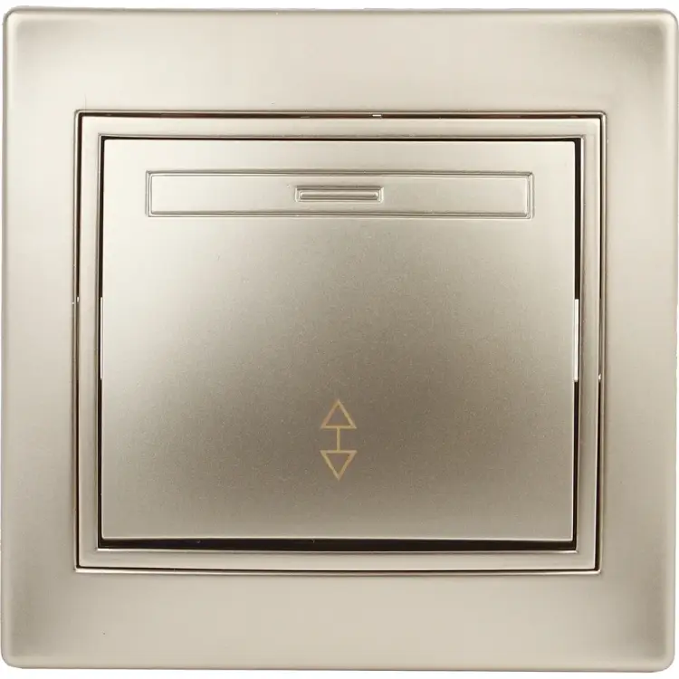 Переключатель Intro Plano Б0030039