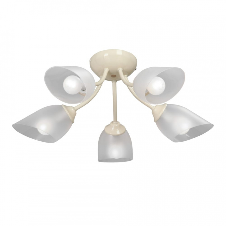 Люстра VITALUCE V3405/5PL