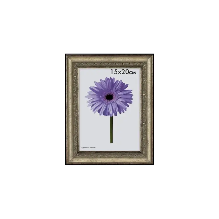 Пластиковая рамка ООО Изометрика Daria 0058-16-3030