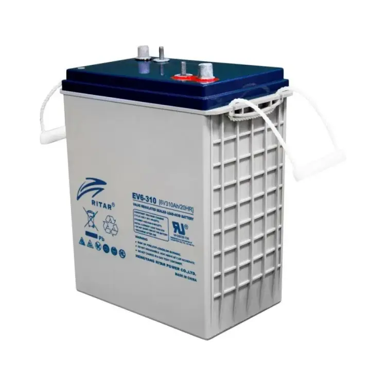 Батарея аккумуляторная Ritar 6v 310Ah/20HR EV6-310