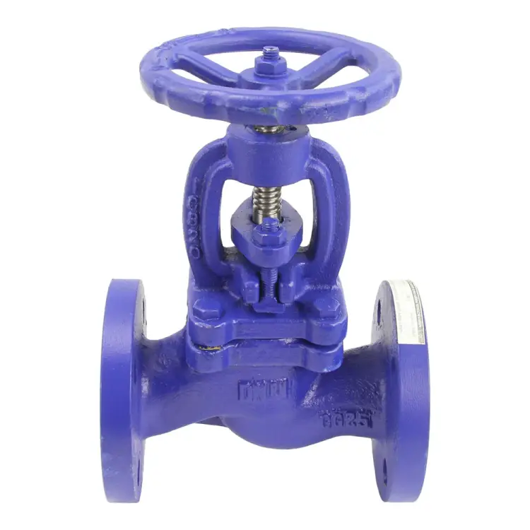 Чугунный фланцевый сальниковый запорный клапан DN.ru 215a D090-00695