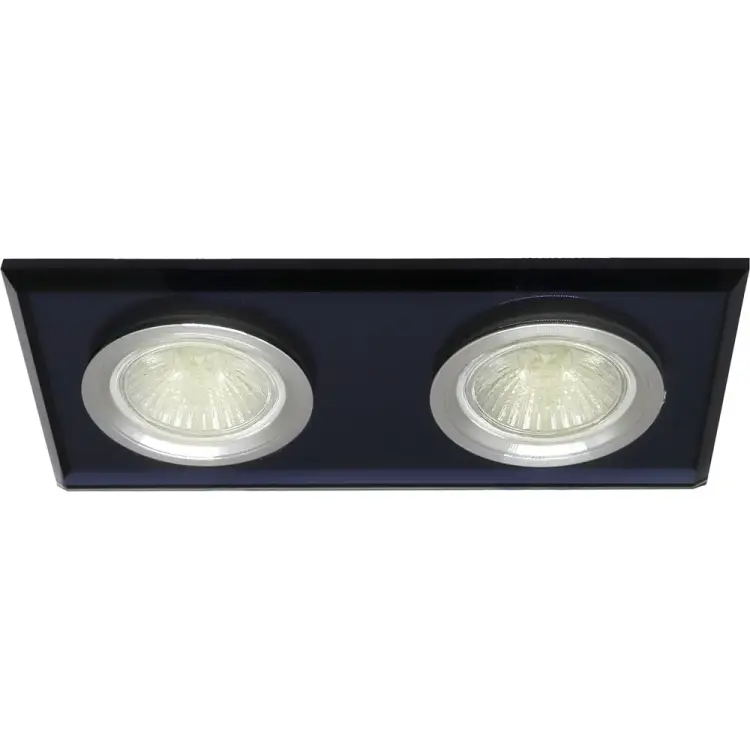 Встраиваемый двойной светильник truEnergy 21231
