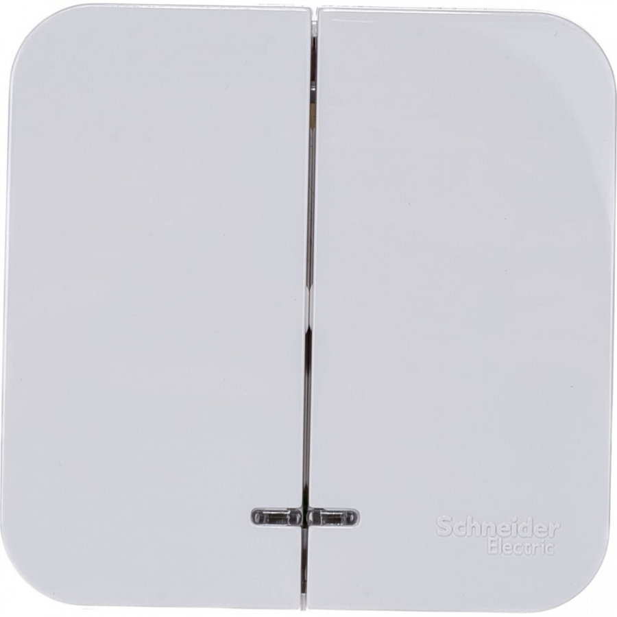 Двухклавишный выключатель Schneider Electric BLANCA