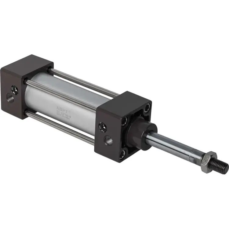 Пневмоцилиндр NBPT 81111