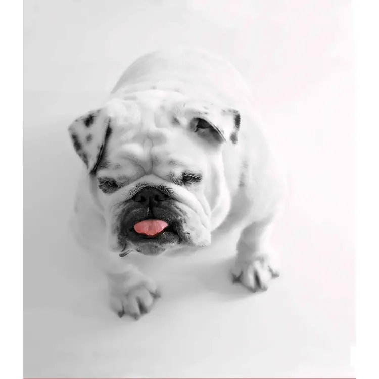 Тканевая шторка для ванны Melodia della vita MZ-119 21007