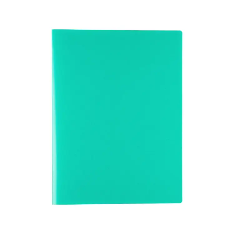 Папка Expert Complete 30 л., A4, 500 мкм, 15 мм, песок, Classic, зеленый ЕС2701303 605721