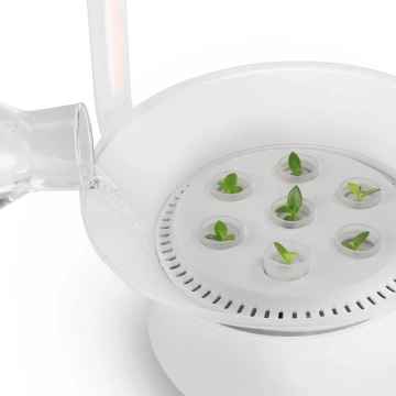 Проращиватели