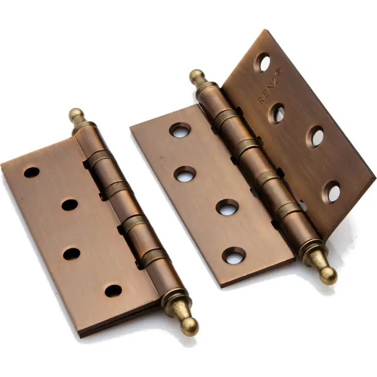 Стальная петля Ренц IN100-4BB FH CF (2шт)