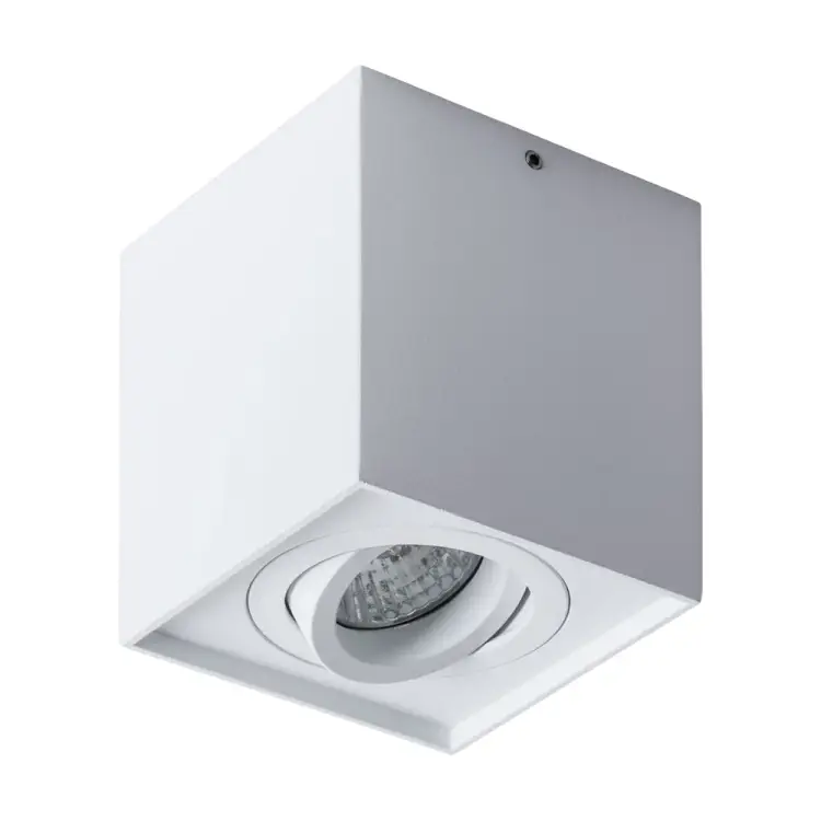 Потолочный светильник ARTE LAMP FACTOR A5544PL-1WH